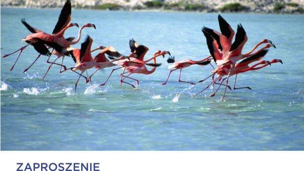 Webinar: “Podróże w dobie Covid 19 – nie odkładaj swoich planów”